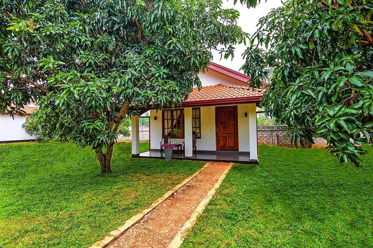 Dambulla Hills Resort Экстерьер фото