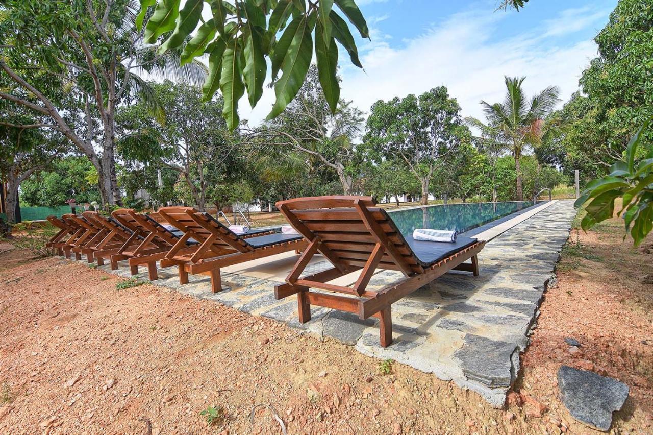 Dambulla Hills Resort Экстерьер фото
